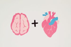 Creative art featuring a brain and heart on a white background symbolizing logic and emotion.