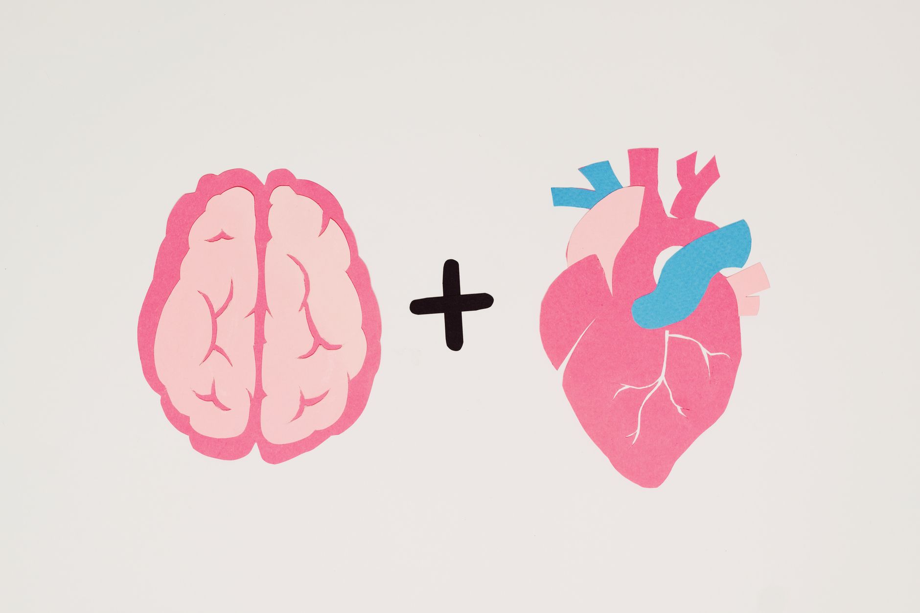 Leia mais sobre o artigo O que é inteligência emocional segundo daniel goleman